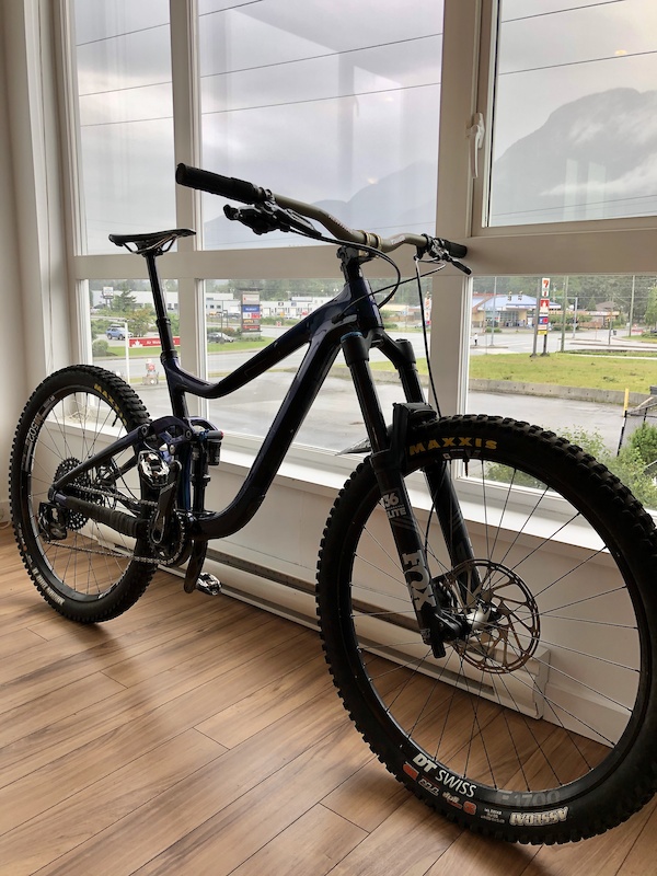 giant reign custom paint