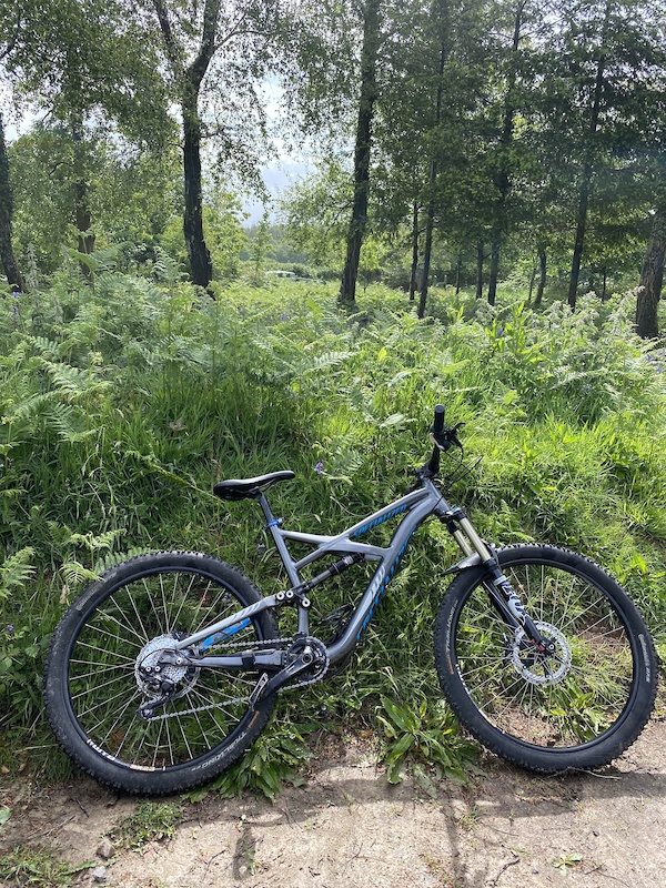 specialised 27.5