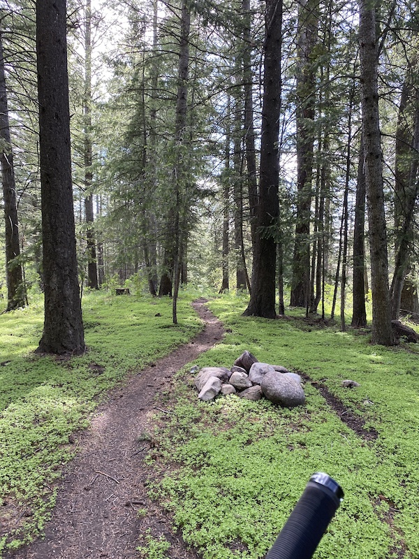 Box Spring Mountain Biking Trail Pocatello, Idaho