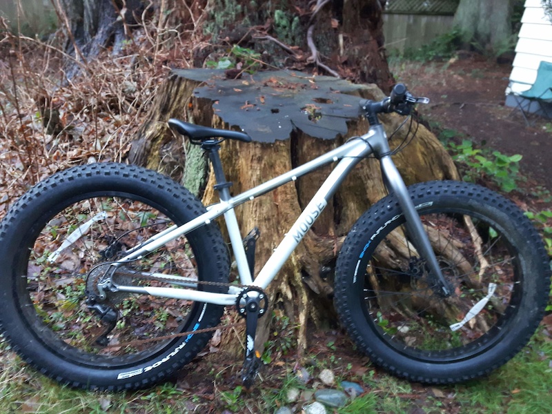 2018 Moose Fat Bike For Sale