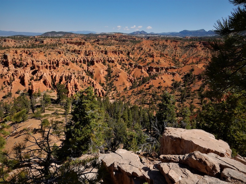 Ledges Point Mountain Biking Trail Panguitch, Utah