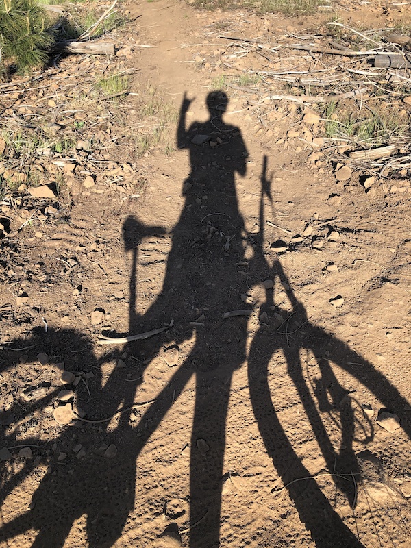 Scout Trail Mountain Biking Trail Cobb, California