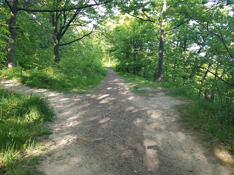 Upper Kings Forest Trail Mountain Biking Trail Hamilton
