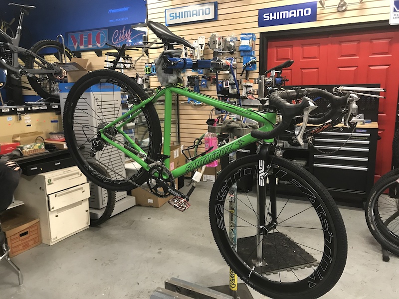 santa cruz stigmata for sale