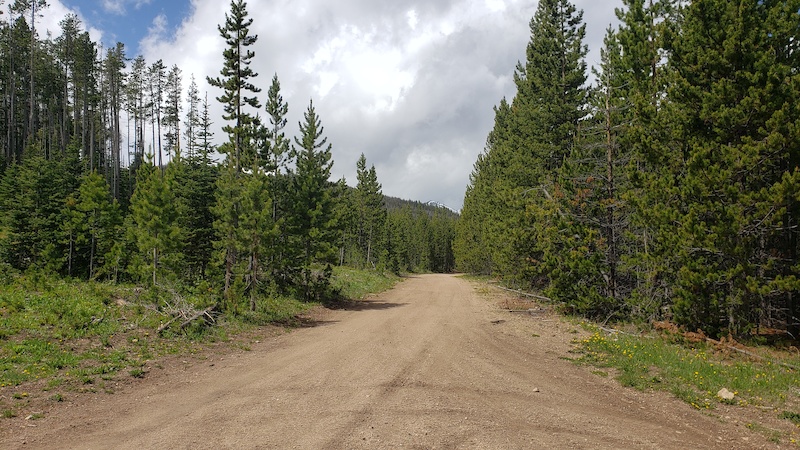 Sureshot Lakes Mountain Biking Trail Pony Montana