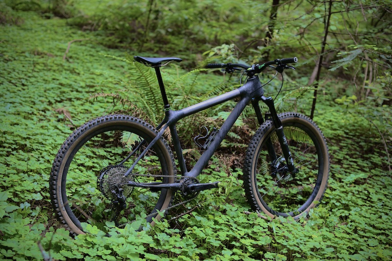 carbon fiber hardtail