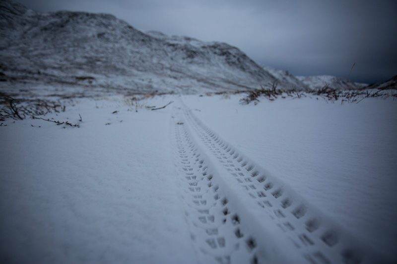 Tracks on the tundra