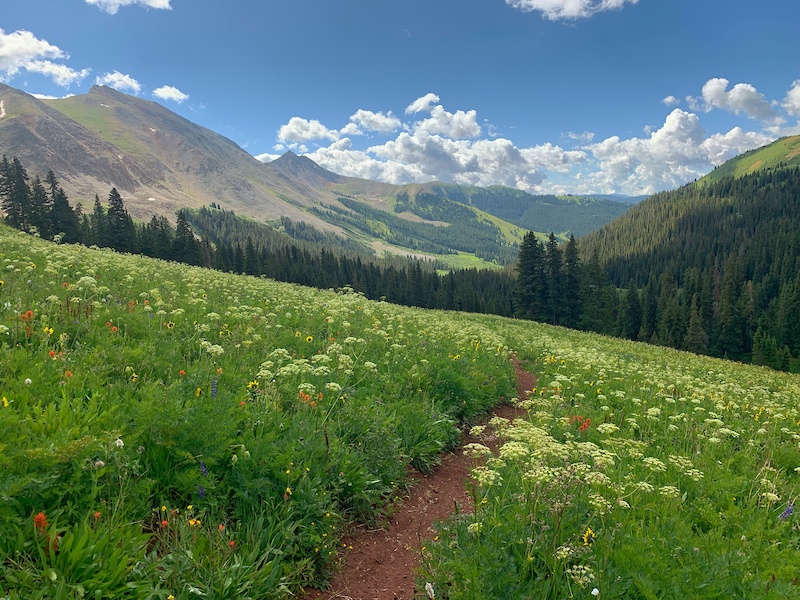 Grand Traverse 2020 Loop Run (nonofficial) Trail Running Route
