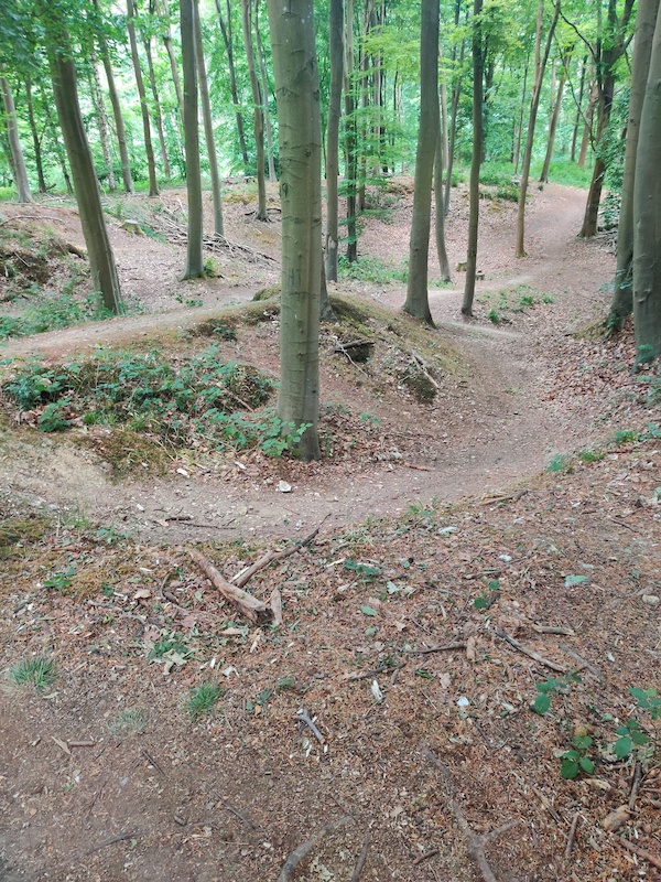 wendover woods mountain biking