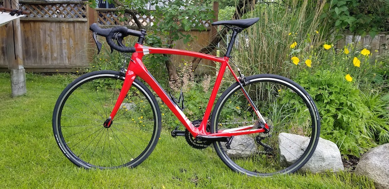 ridley fenix c50 bicycle 2020