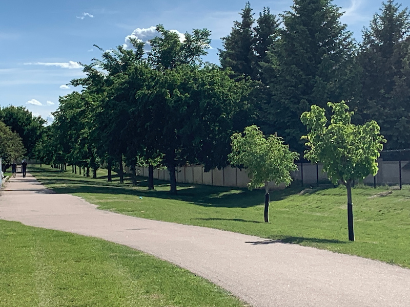 Meadowlands Trail Mountain Biking Trail Medicine Hat, AB