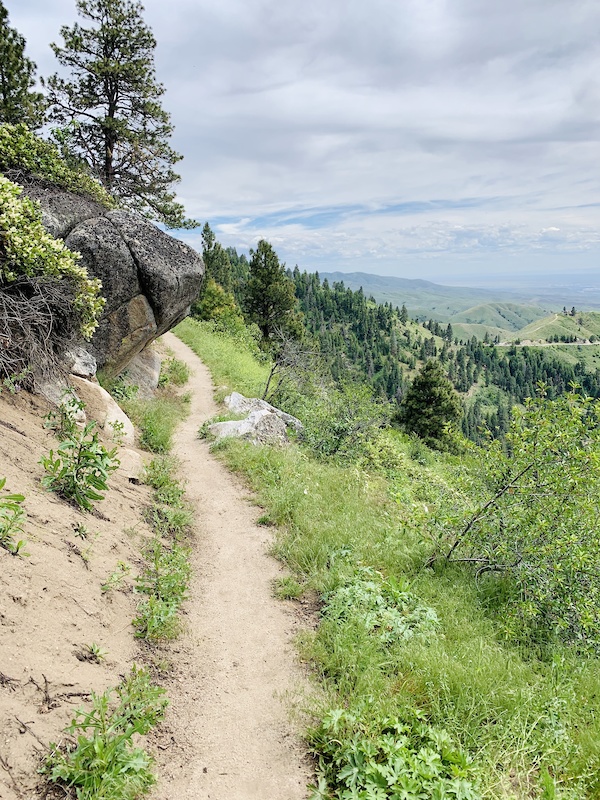 Freddys Stack Rock (Lower) Mountain Biking Trail Boise