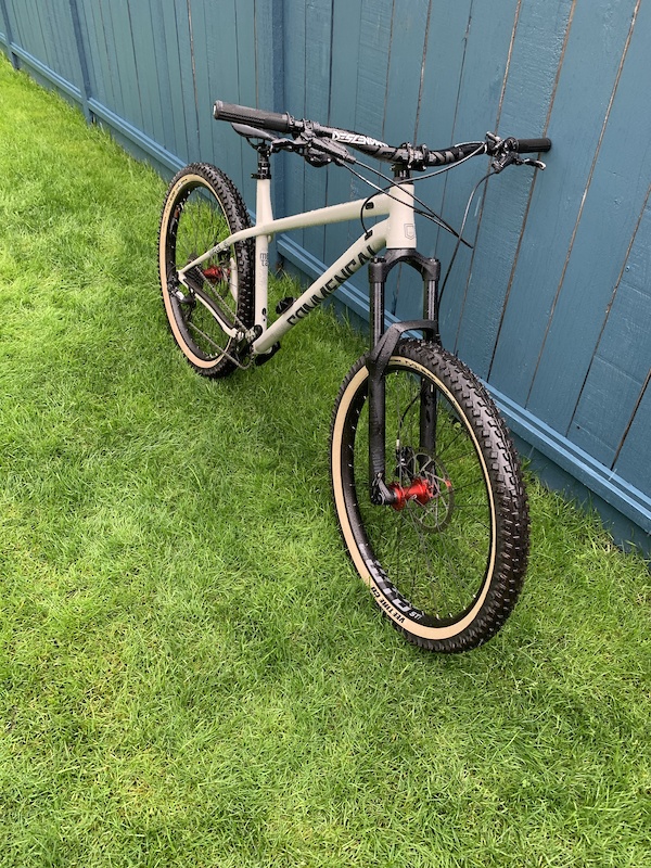 meta hardtail