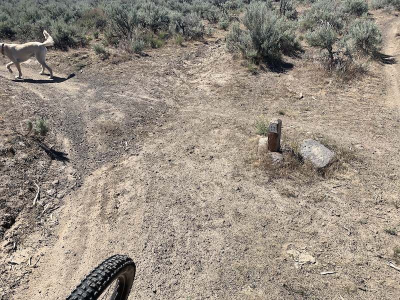 Backdoor Mountain Biking Trail Twin Falls, Idaho