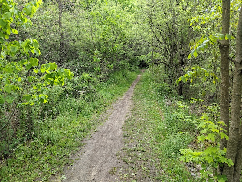 Geotime Trail Multi Trail - Kitchener-Waterloo, Ontario