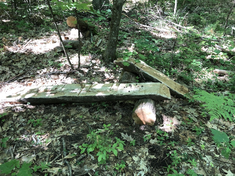Clyde Pond Singletrack Loop Mountain Biking Trail Windham