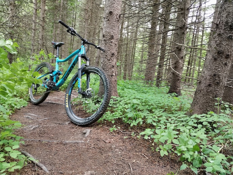 XLR8 Mountain Biking Trail Exeter, New Hampshire