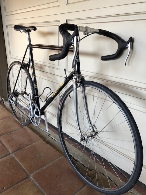 vintage colnago for sale