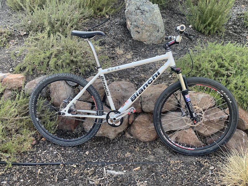 bianchi single speed mountain bike