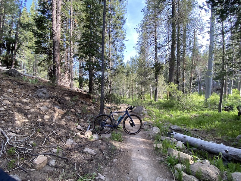 Commemorative Overland Emigrant Trail Alder Creek To Carpenter Valley Rd Multi Trail Truckee 3783