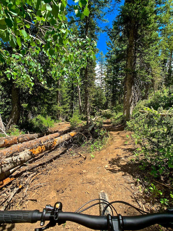 Burnt Fork Mountain Biking Trail - Logan, Utah