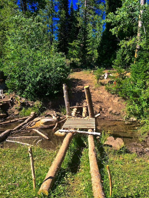 Steam Mill Mountain Biking Trail - Logan, Utah