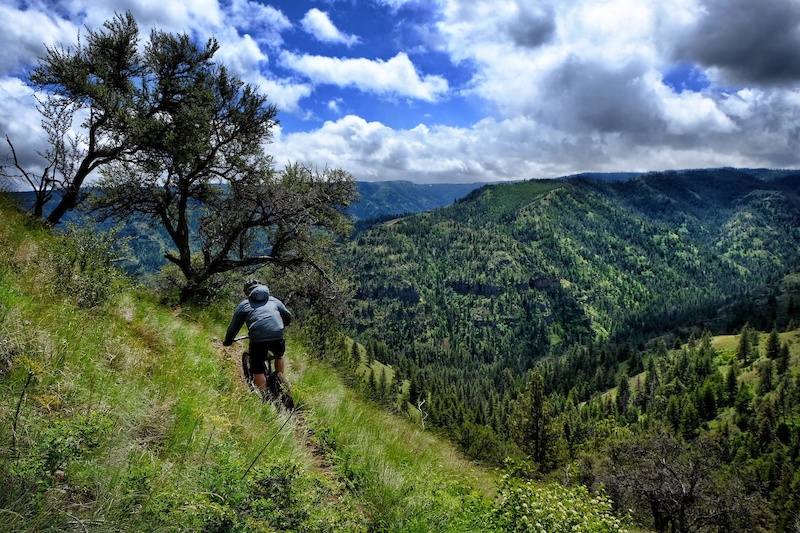 Asotin Creek Mountain Biking Trail Asotin, WA