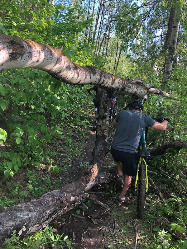 Westpointe Express Mountain Biking Trail Edmonton
