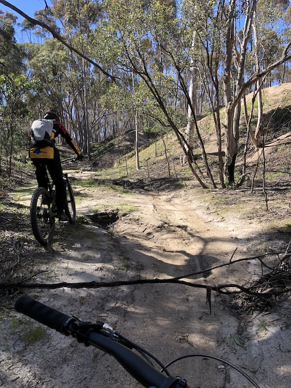 Loftus mtb online park