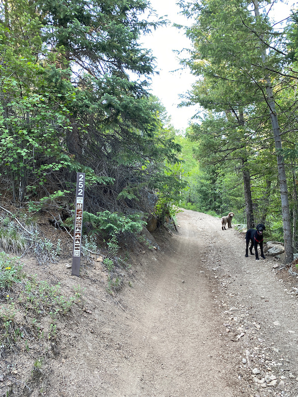 Ceran Saint Vrain Trail Mountain Biking Trail Jamestown