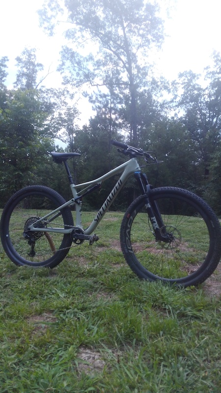 specialized expert evo 2019