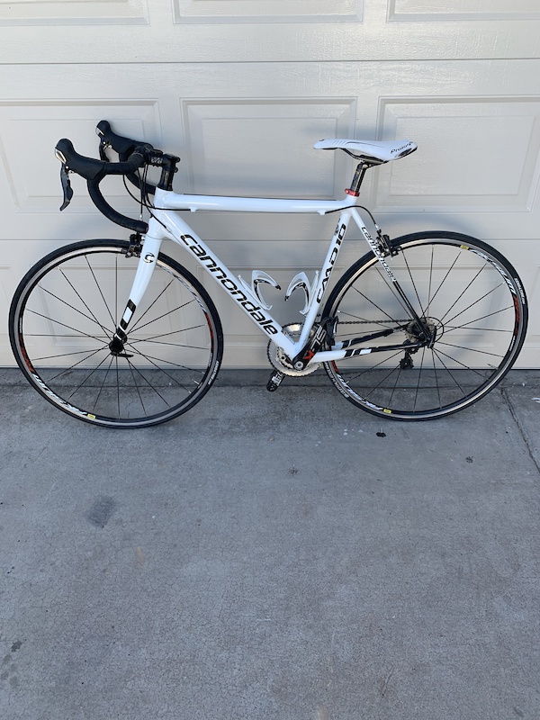 cannondale caad10 for sale
