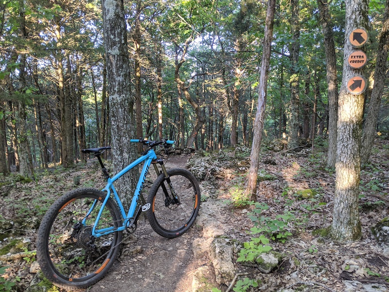 rockshox fork lineup