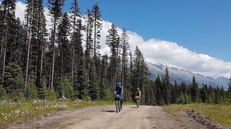 Elk Pass, McLeese Lake Mountain Biking Trails | Trailforks