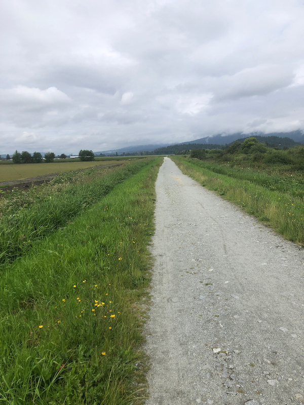 North Alouette River Trail Mountain Biking Trail - Maple Ridge