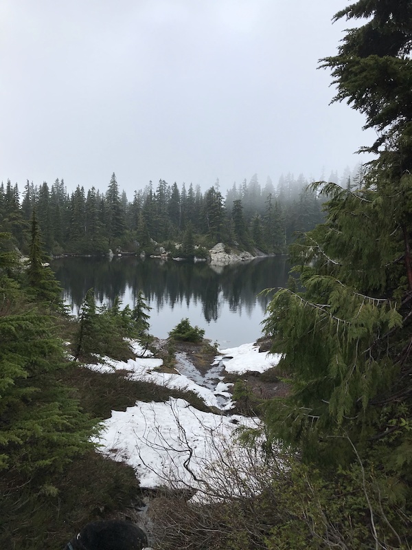 Cabin Lake Trail Hiking Trail West Vancouver, BC