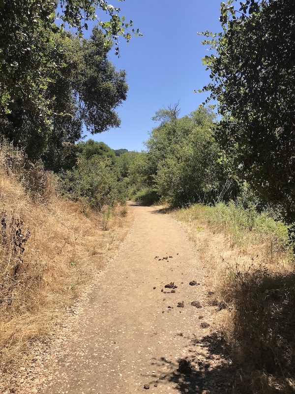 The Anza Trail and the Settling of California by Vladimir Guerrero
