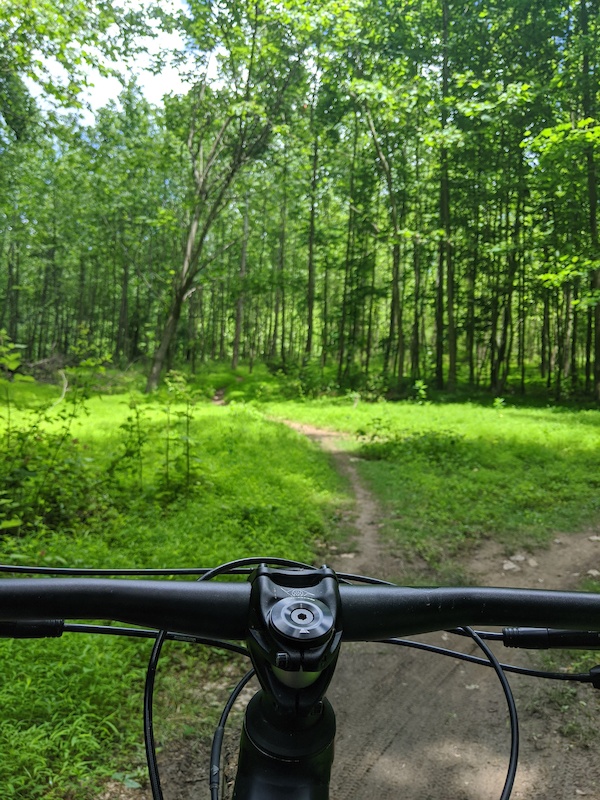 Poplar, I Mean Sycamore Grove Bypass Mountain Biking Trail - Fallston