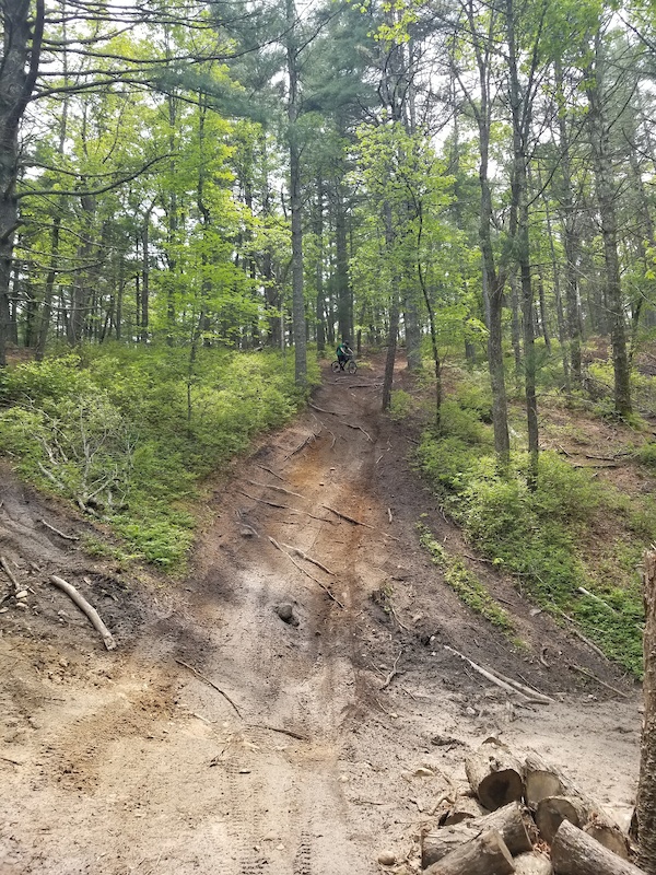 Kingston State Forest, Kingston Mountain Biking Trails Trailforks