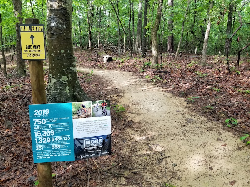 Locus Shade Advanced Trail Mountain Biking Trail - Dumfries