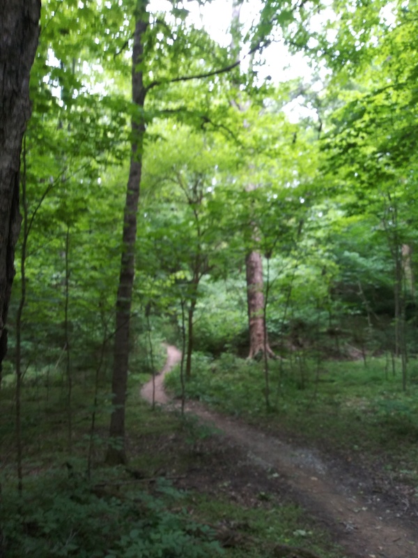 cane ridge mountain bike trail