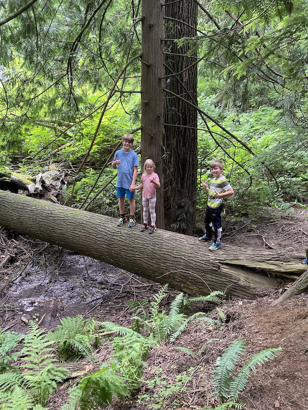 Week 1 Interval Set Mountain Biking Route | Trailforks