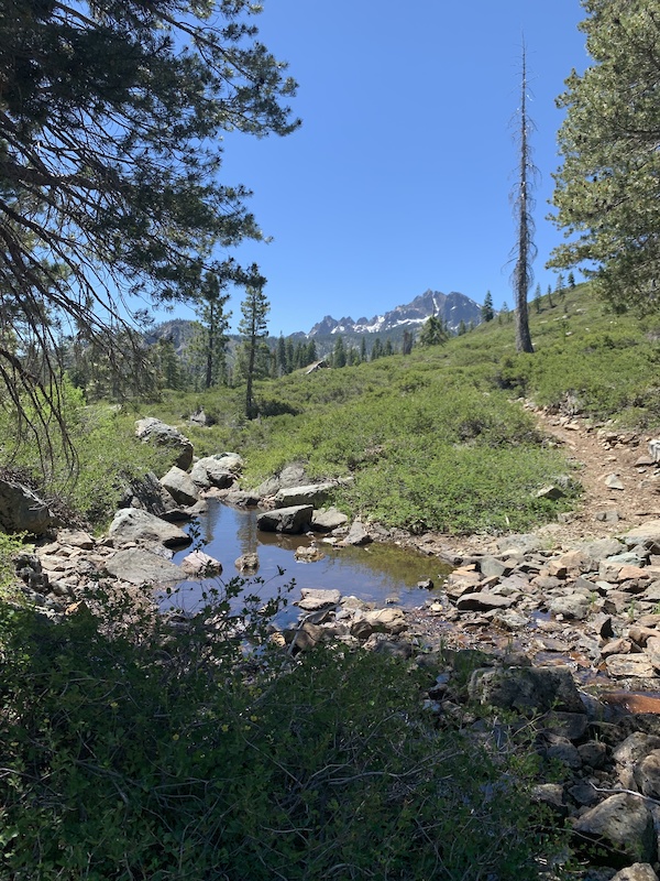 PCT Packsaddle to Round Lake Hiking Trail Downieville