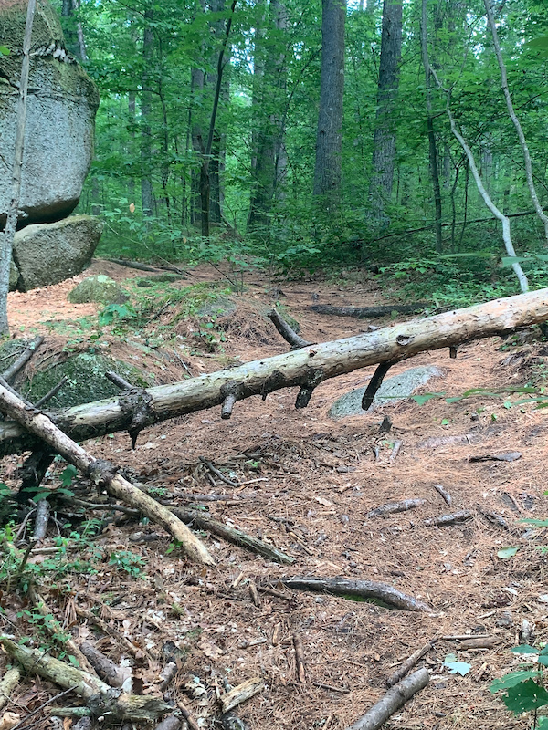 Whistling CaveTrail Multi Trail Upton, Massachusetts