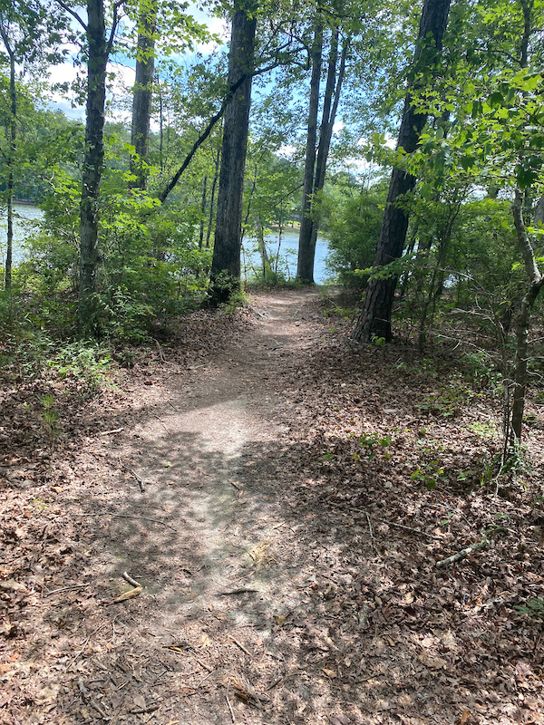 Arrowhead West Multi Trail Macon, Trailforks