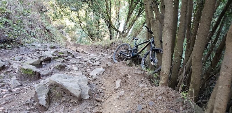 joaquin miller park mountain biking