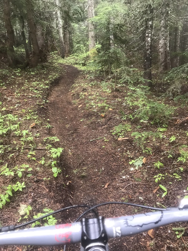 Christoff Trail Mountain Biking Trail Greenwater, WA