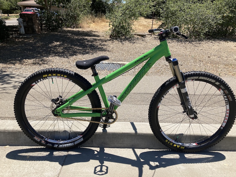 santa cruz jackal for sale