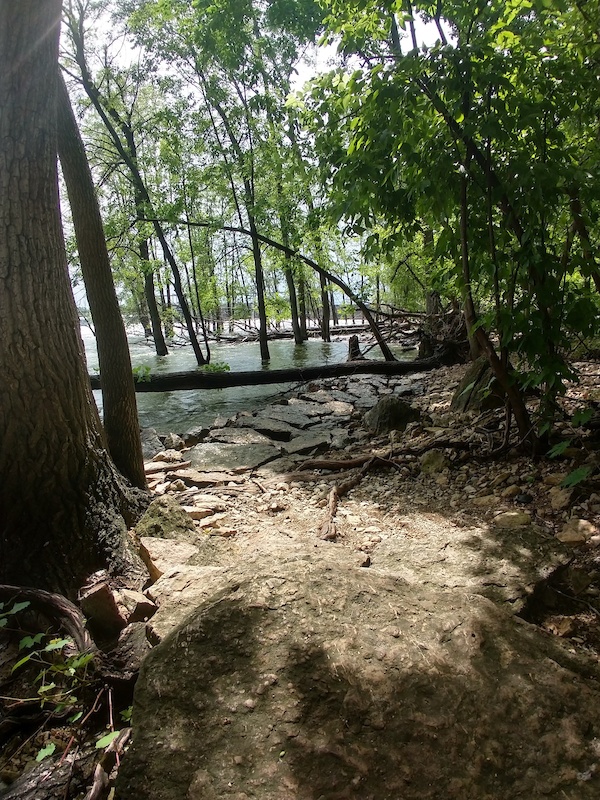 LC Island Trails, Little Chute Mountain Biking Trails Trailforks