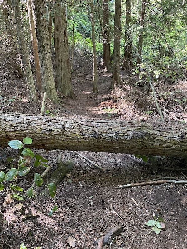 Coupeville and Kettles Bluff Trails Hiking Route Trailforks